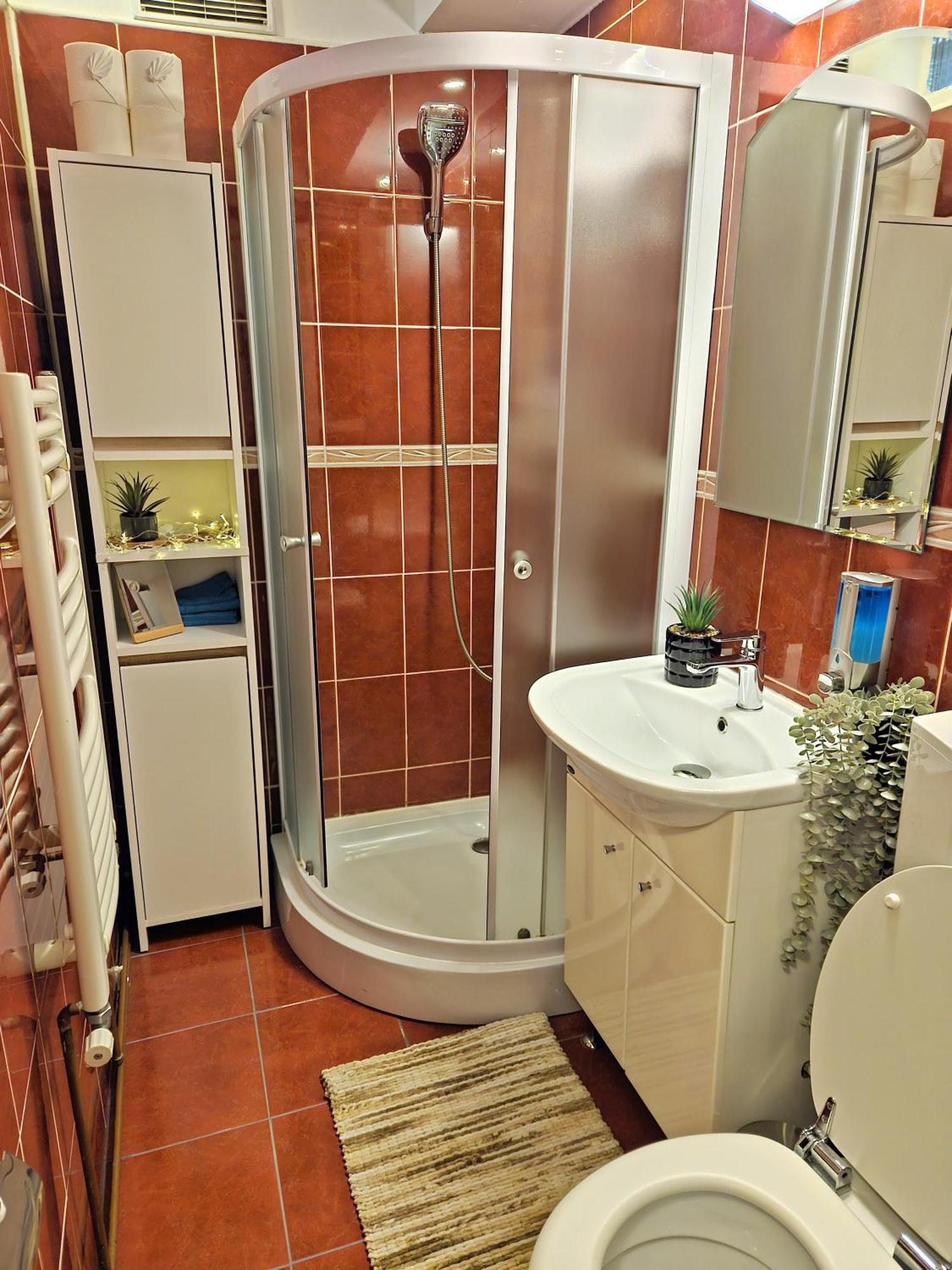 Tusmorez Central Apartment Targu Mures Ngoại thất bức ảnh